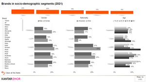 Favourite Brands in Lithuania_Preview of Brands in Socio-demographic segments